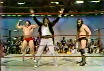 hart_ellering_hassan_800329